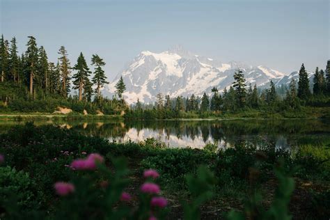 Weather For Mount Baker