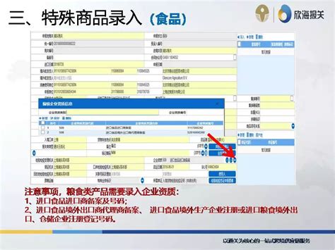 进口代理|外贸代理公司|进博会清关