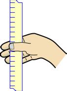 Image result for Ruler Drop Test Protcol One Persoon