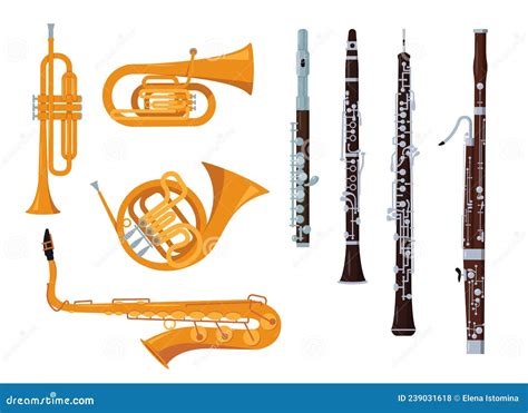 Image result for Orchestral Stringed Instruments