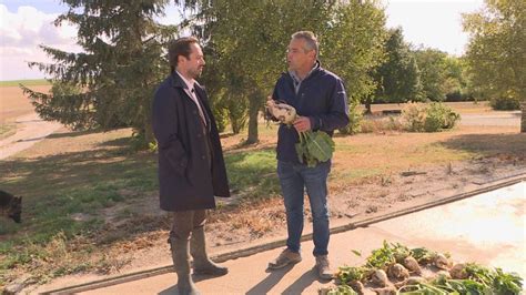 Image result for Gregory Besson Moreau