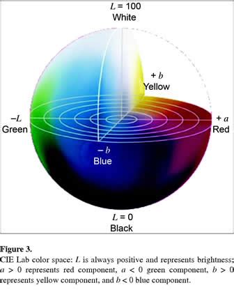 Image result for Lab ColorSphere