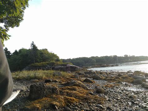 Hermit Island Campground | Phippsburg, ME