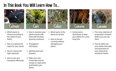 The 5 C's of Aromatic and Medicinal Plants: Cultivate, Care, Collect ...