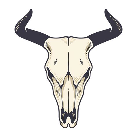 COW SKULL HAND DRAWING ILLUSTRATION 40554898 Vector Art at Vecteezy