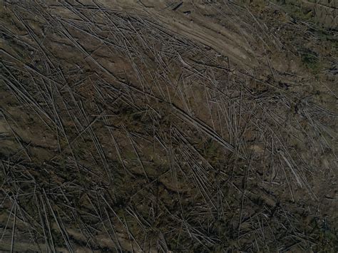 The biosphere should not be for sale | Meer