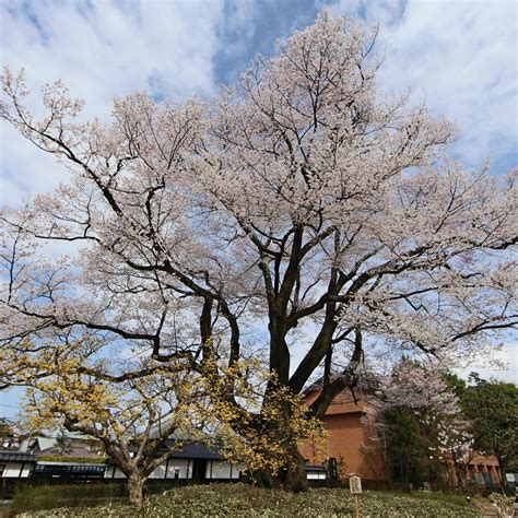 IIDA CITY MUSEUM OF ART (2024) All You Need to Know BEFORE You Go (with ...