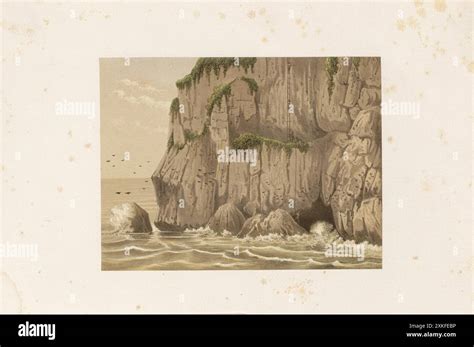 Image result for Java Pool Beach