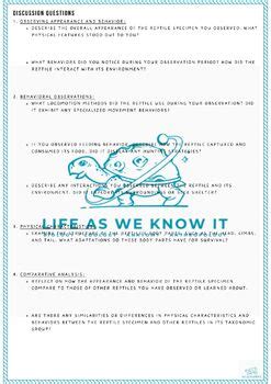 Observation 的图像结果