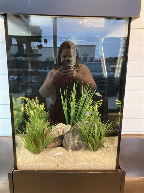 40 Gallon Fish Tanks Unikito 40 Gallon Fish Tank Stand With Power