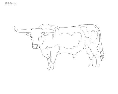 Longhorn - Free Coloring Pages