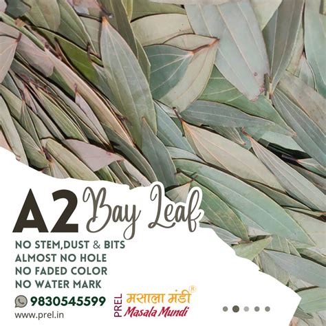 PR Exports|Bay Leaf Exporters,Bay leaf suppliers in India|Bay Leaf in India