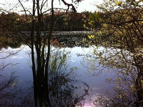 BEECH FOREST (2025) All You Need to Know BEFORE You Go (with Photos ...