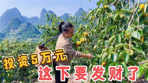 调研特色果业种植——人民政协网