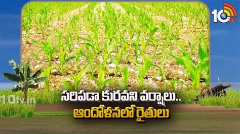 Crop Cultivation : సరిపడా కురవని వర్షాలు.. ఆందోళనలో రైతులు.. పంటల ...