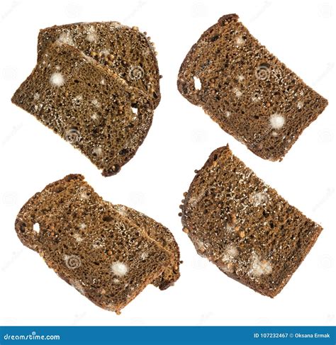 Black Bread Mold