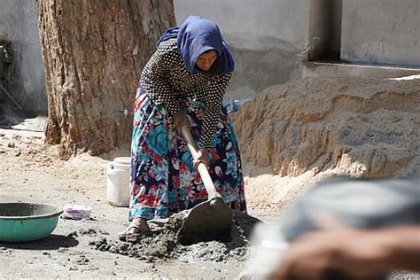 ILO Report: Debt Issues and Climate Costs Pressure Global Employment