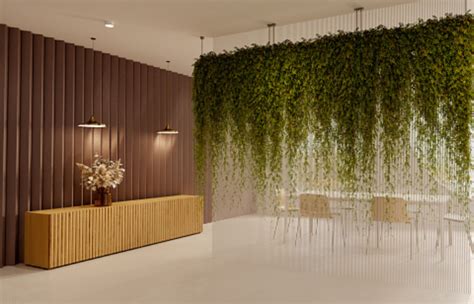 Curtain Creeper: An Easy-To-Grow Climbing Plant That Makes Your Home ...