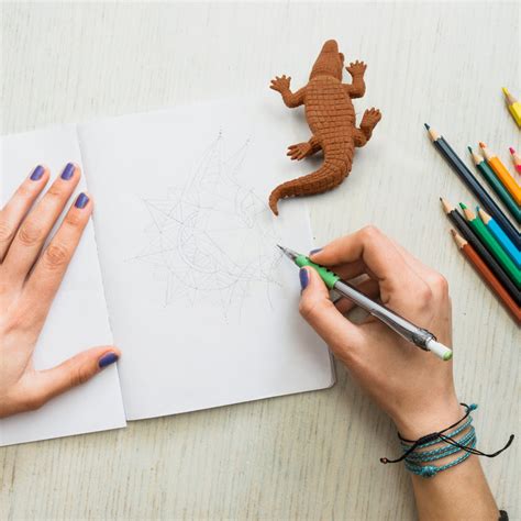 CROCODILE SHAPED ERASERS ANIMAL ERASERS FOR KIDS, CROCODILE ERASERS 3D ...
