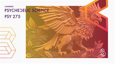 Psychedelic Science 的图像结果