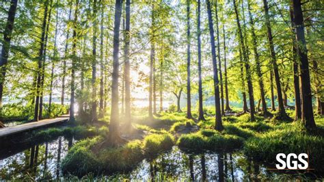 ESG Reporting and Disclosure | Event – HSBC Business Go