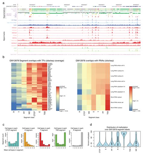 Image result for ENCODE Genome