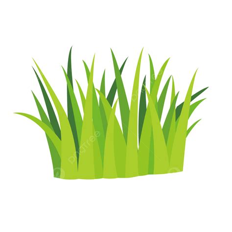 Green Grass Illustration Vector, Color, Grass, Green PNG and Vector ...