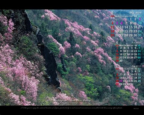 2014年5月の無料カレンダー壁紙(1280x1024)－アケボノツツジ－|石鎚自然写真館