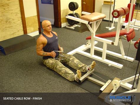 Image result for Cable Row Workout