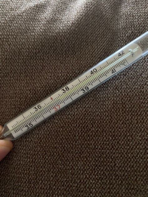 Image result for Normal Temp Range Human