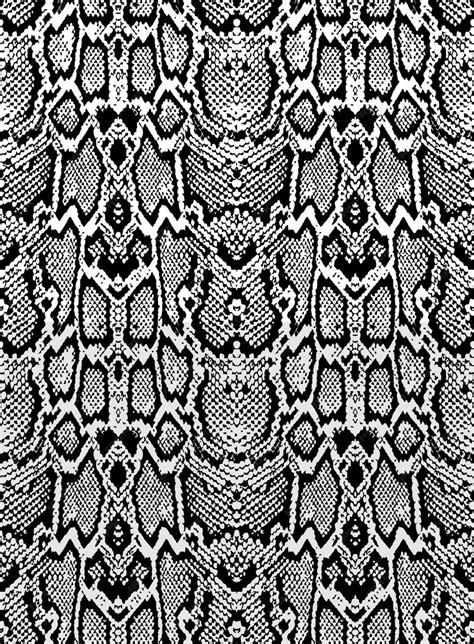 Image result for Python Skin Background