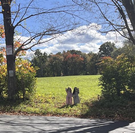 Melissa Johnson, the first streaker at Wimbledon Stadium, at the men’s ...