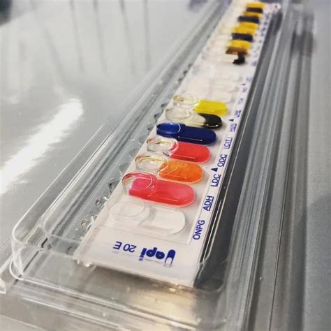 Image result for API Identification Bacteria Expensive