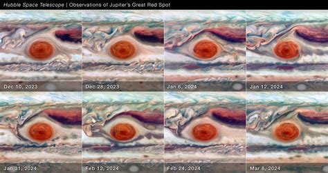 Full Disk of Jupiter (8-Panel) - NASA Science
