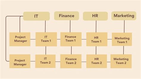 Image result for Matrix Organization Structure