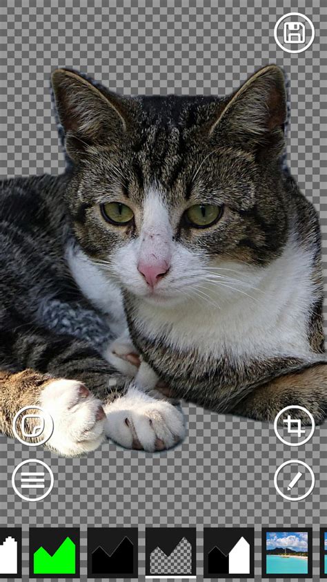 Ai Green screen 的图像结果