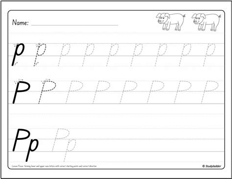 Pp Worksheet 的图像结果