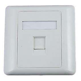 Face Plate 2 Port for CAT 6 Information Outlet : Amazon.in: Electronics