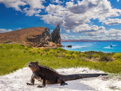 📅 The Best Time to Visit the Galapagos Islands in 2023