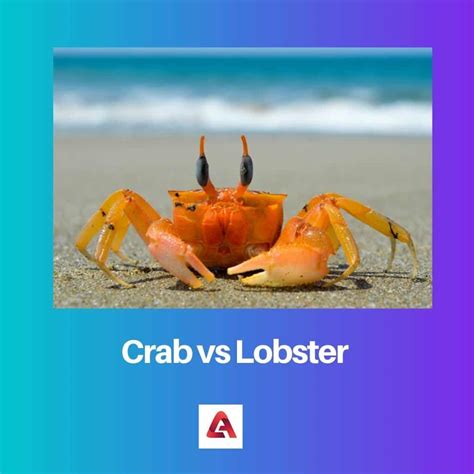 Crab vs Lobster: Difference and Comparison