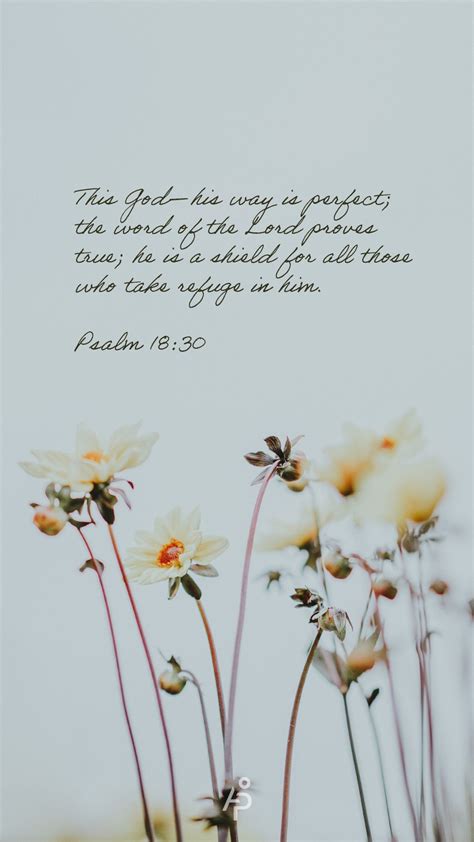 Image result for Forest Background Wallpaper Spring Scripture