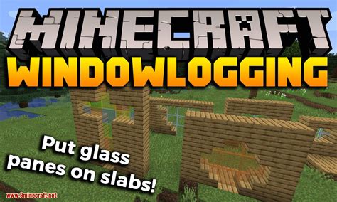 Image result for Minecraft Window Mod