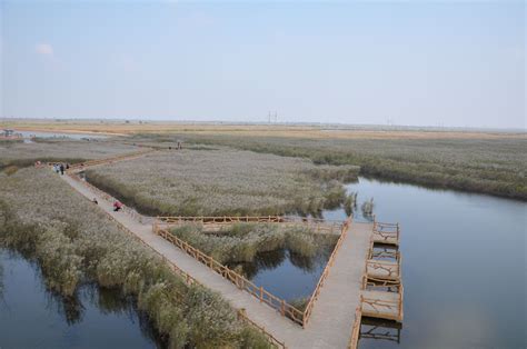 与每个家庭都有关！海口正在大力推进这件事→_澎湃号·政务_澎湃新闻-The Paper