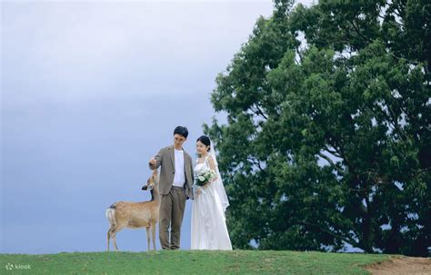 Cinematic Photoshoot Journey in Nara - Klook India