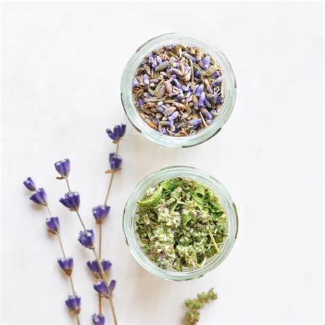 Image result for Modere Live Clean