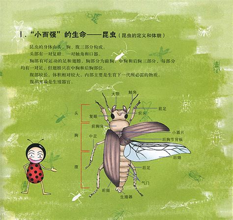 描写昆虫的作文200,春天的作文200字,我的家乡作文200字_大山谷图库