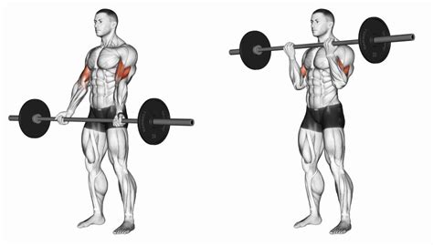 Image result for How to Build Arm Muscle Fast