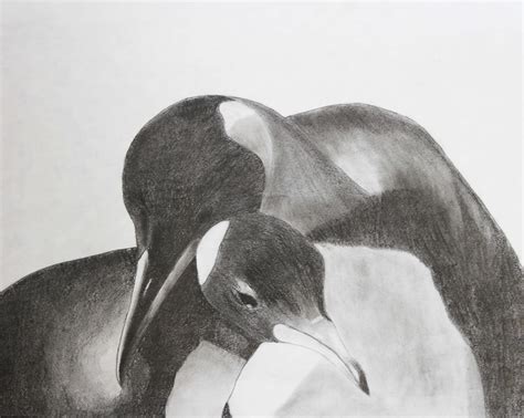 Graphite Pencil Drawing Tutorials of Animals 的图像结果