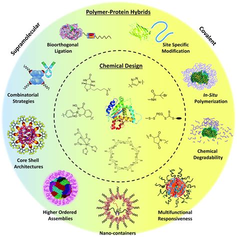 Protein Diagram Polymer