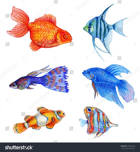 Watercolor Tropical Fish Set Hand Draw Stock Illustration 383902003 ...